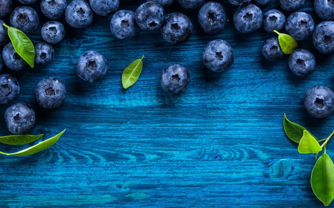 Die Königin der Früchte: Eine Verbeugung vor der Blaubeere